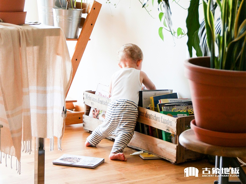 番龍眼實(shí)木地板優(yōu)點(diǎn)